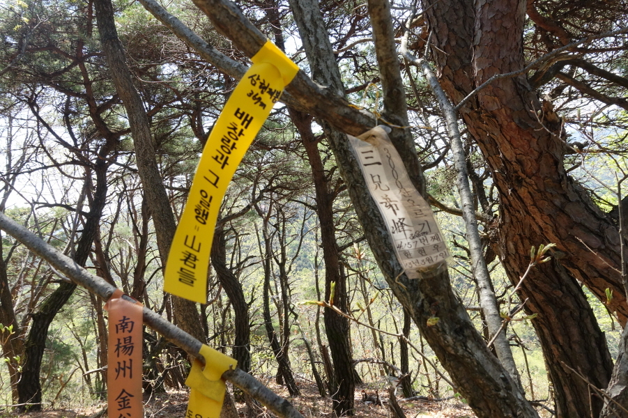 삼형제봉 정상 이미지