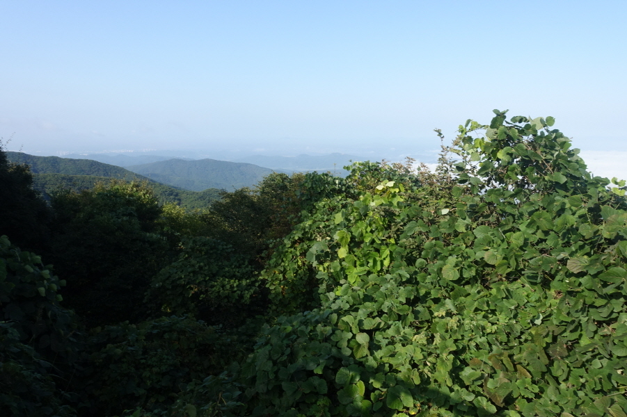 파평산 정상 이미지