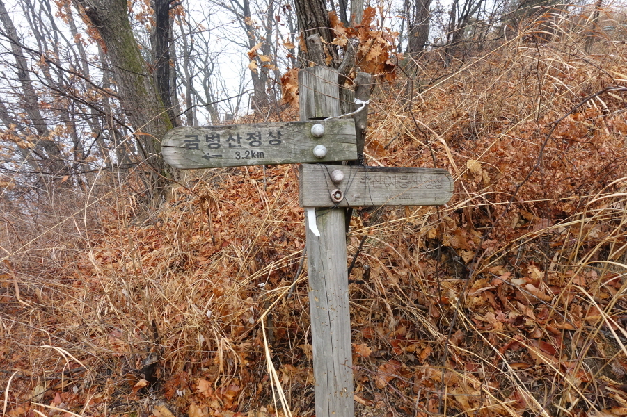 소나무수산 이미지