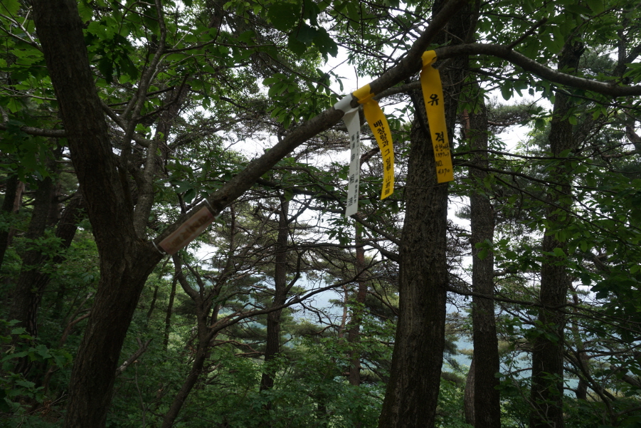 삼형제봉 정상 이미지