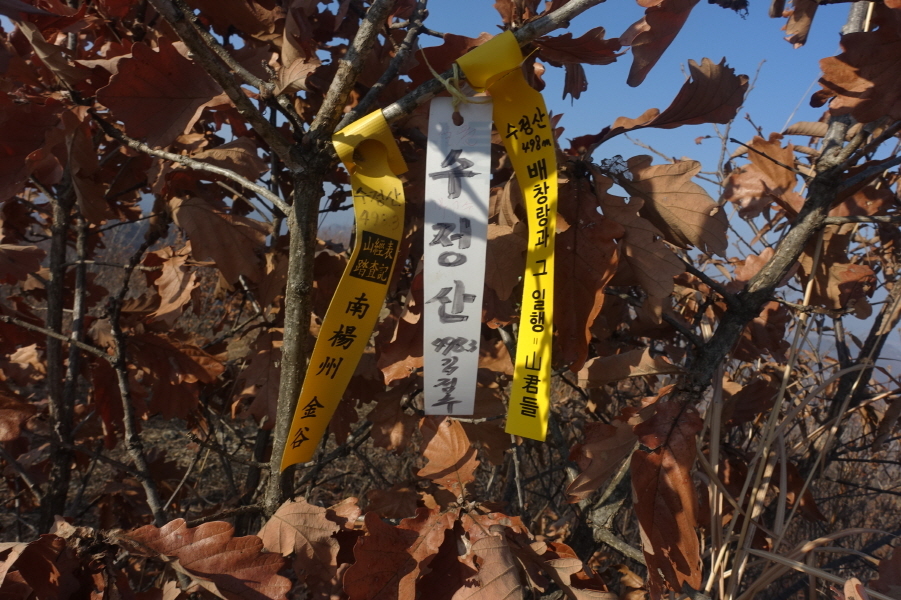 수정산 정상 이미지