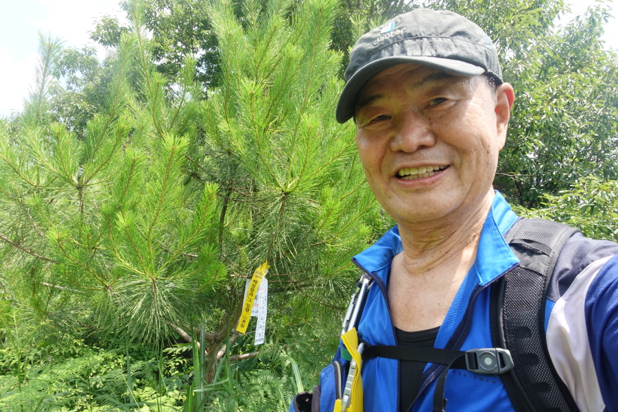 비산 정상 이미지