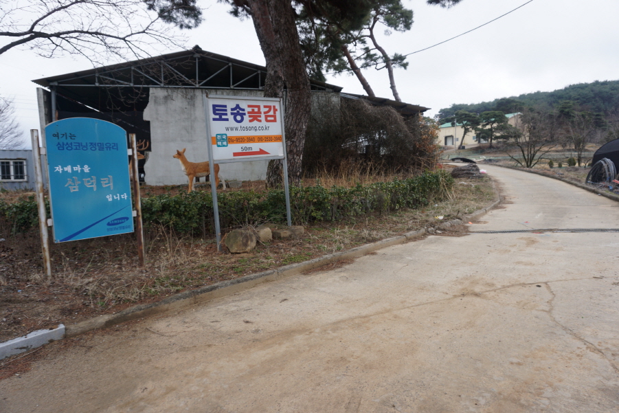 성안산 이미지
