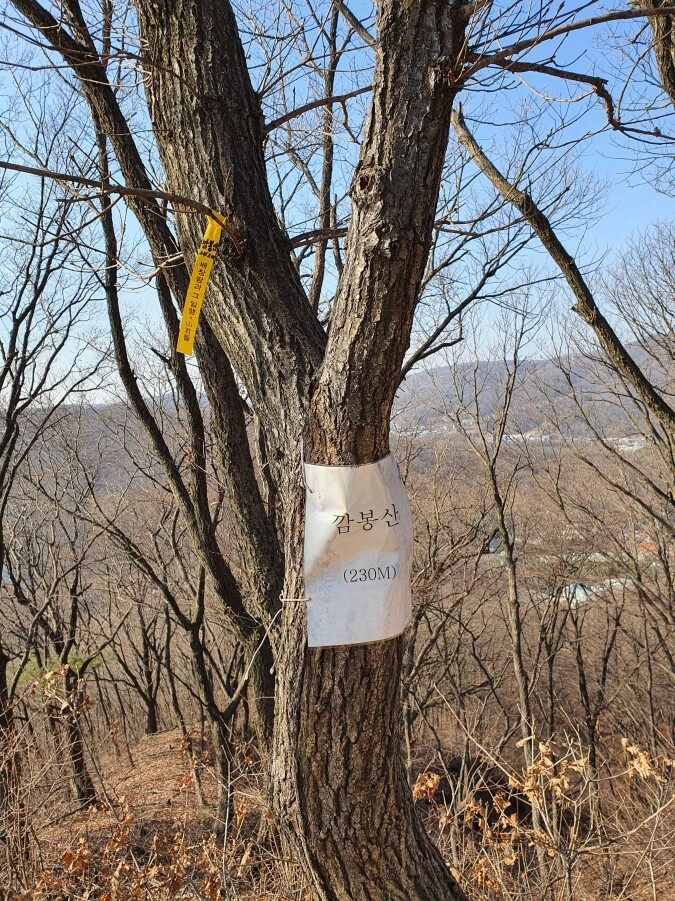 깜봉산 정상 이미지