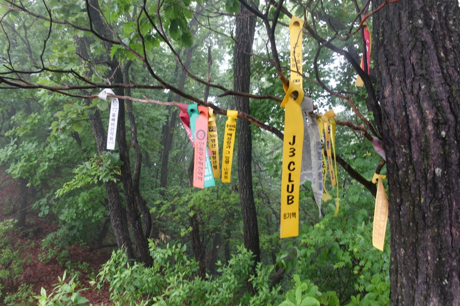 송이재봉 정상(670m) 이미지