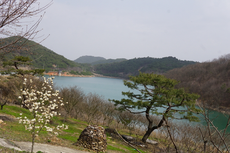 갈산식당 이미지