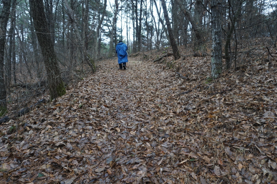 성안산 이미지