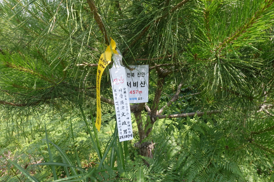 비산 정상 이미지