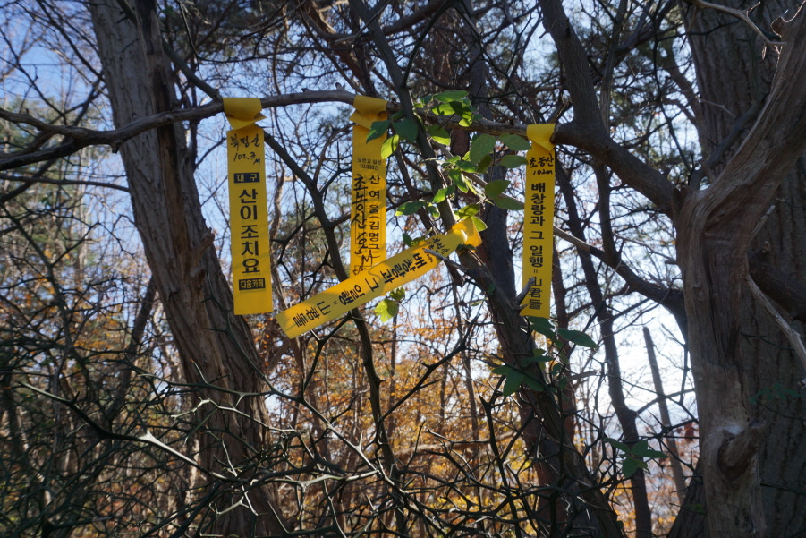 강원농산 이미지