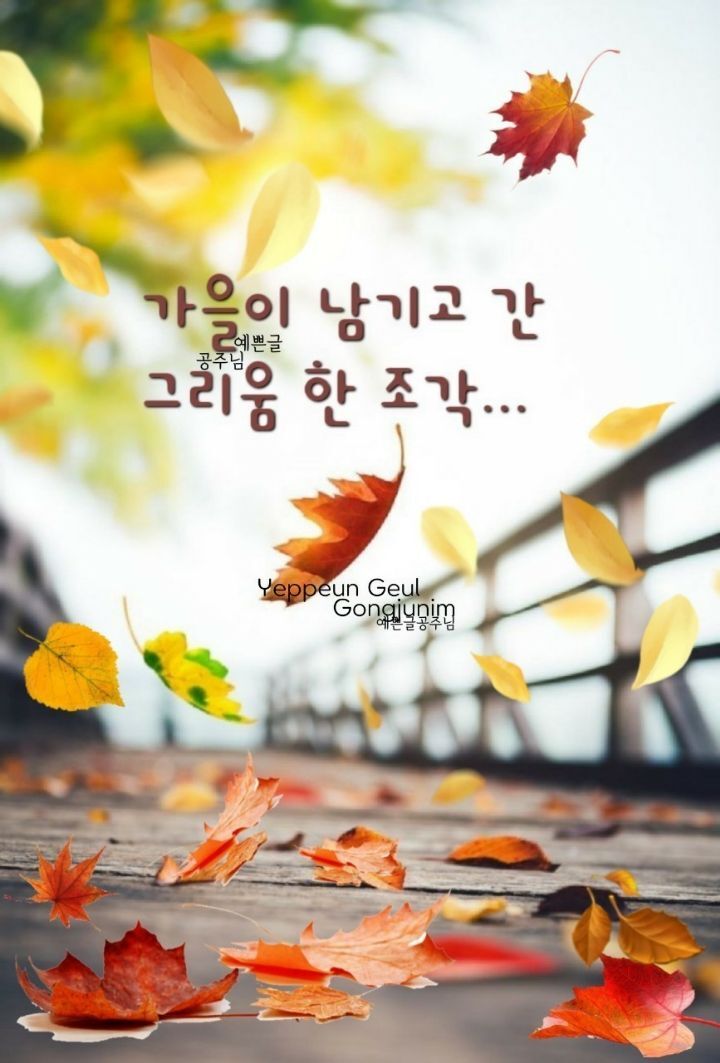 들녘에 이미지
