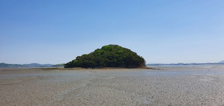 동검상회 이미지