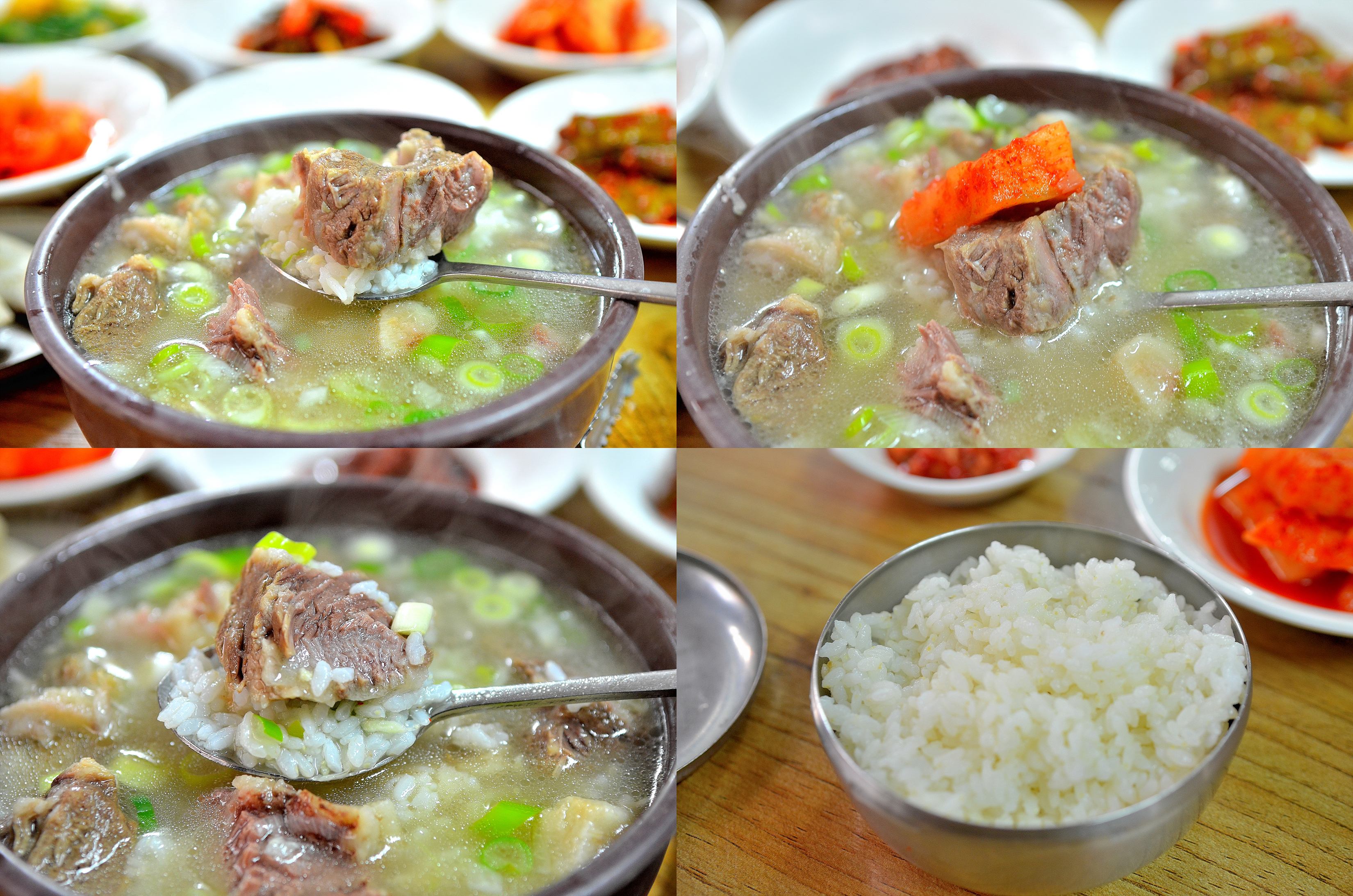 밀림식당 이미지