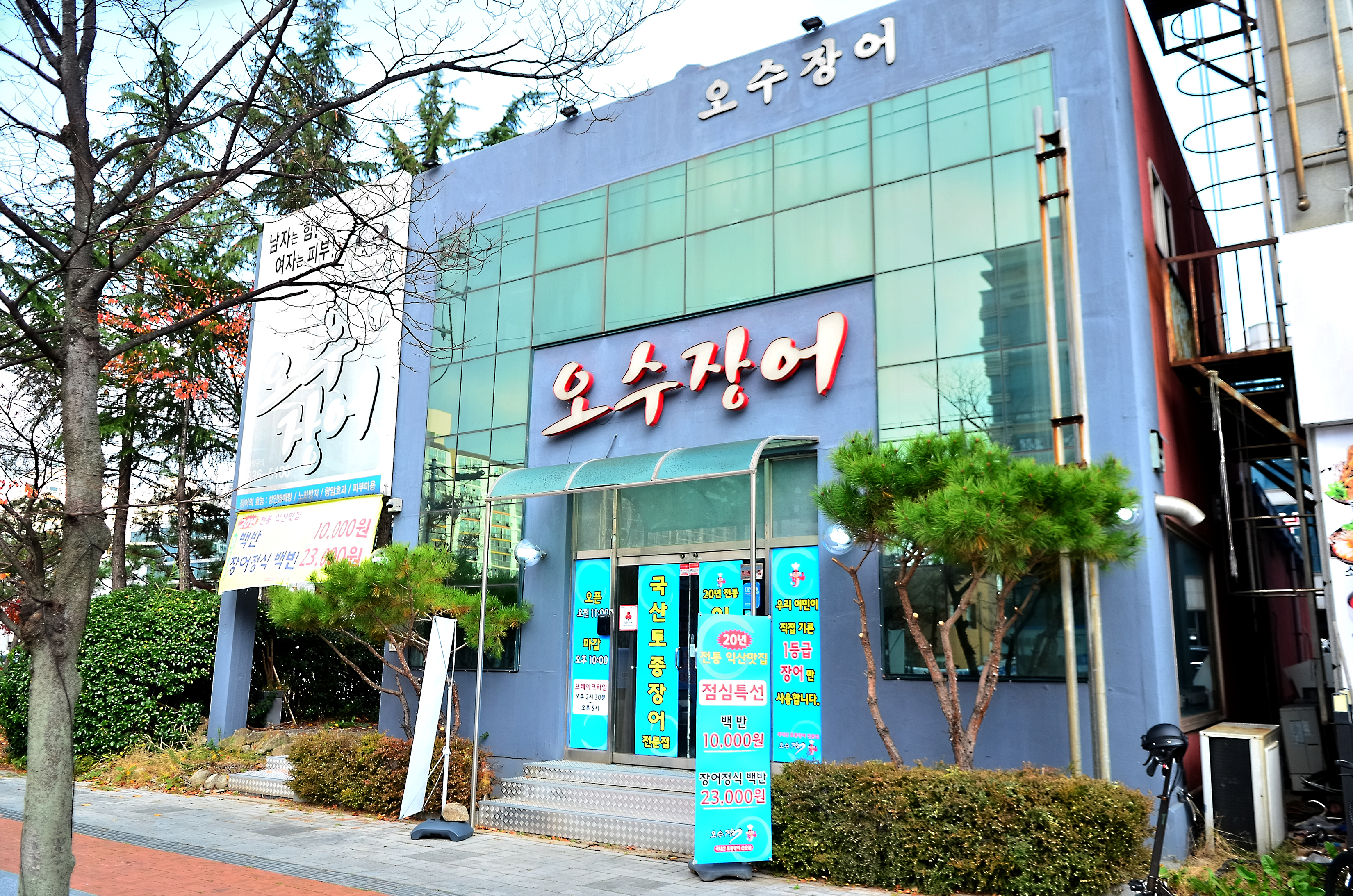 오수장어 이미지