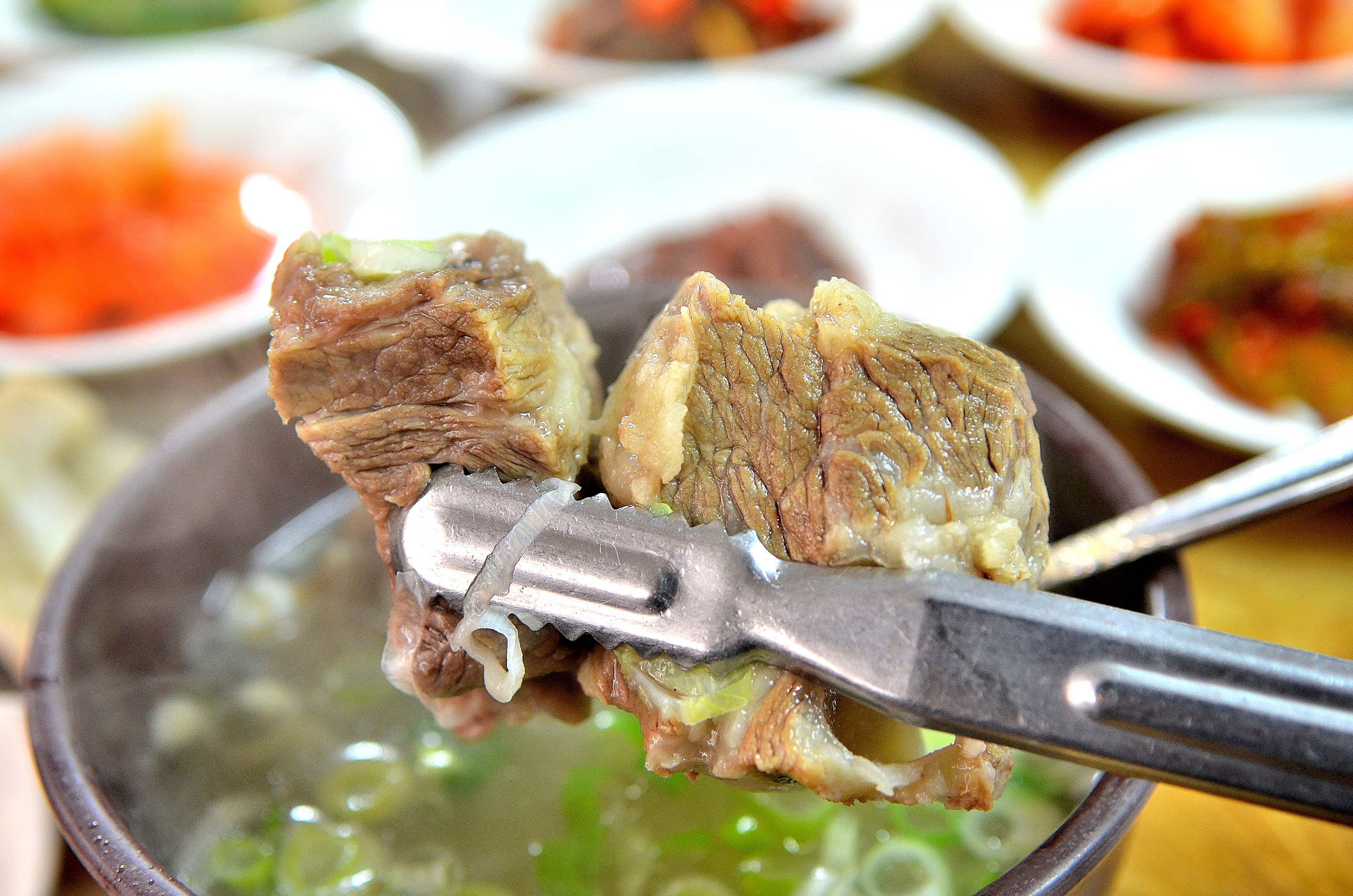 밀림식당 이미지