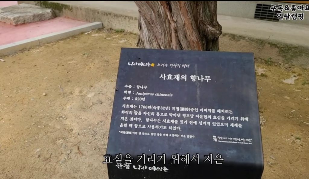 담장너머 이미지