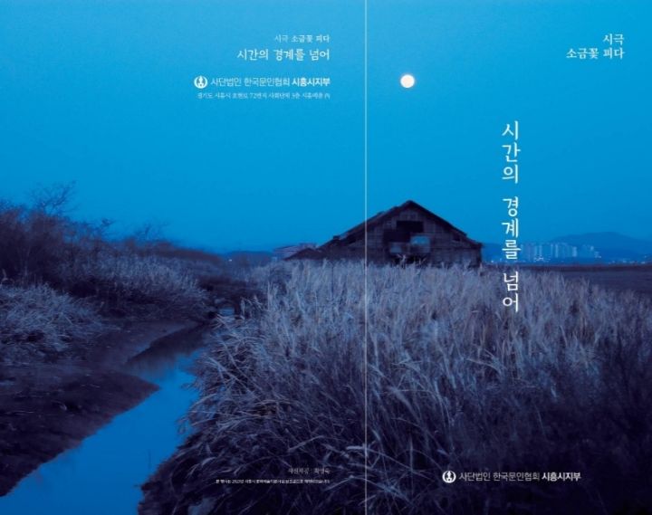 피-타운 이미지