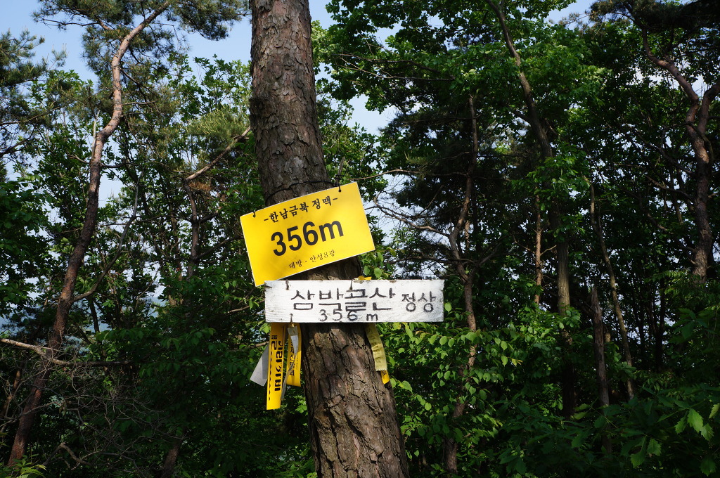 삼박골산 정상 이미지