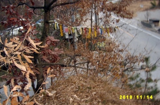 탄천IC(하) 이미지