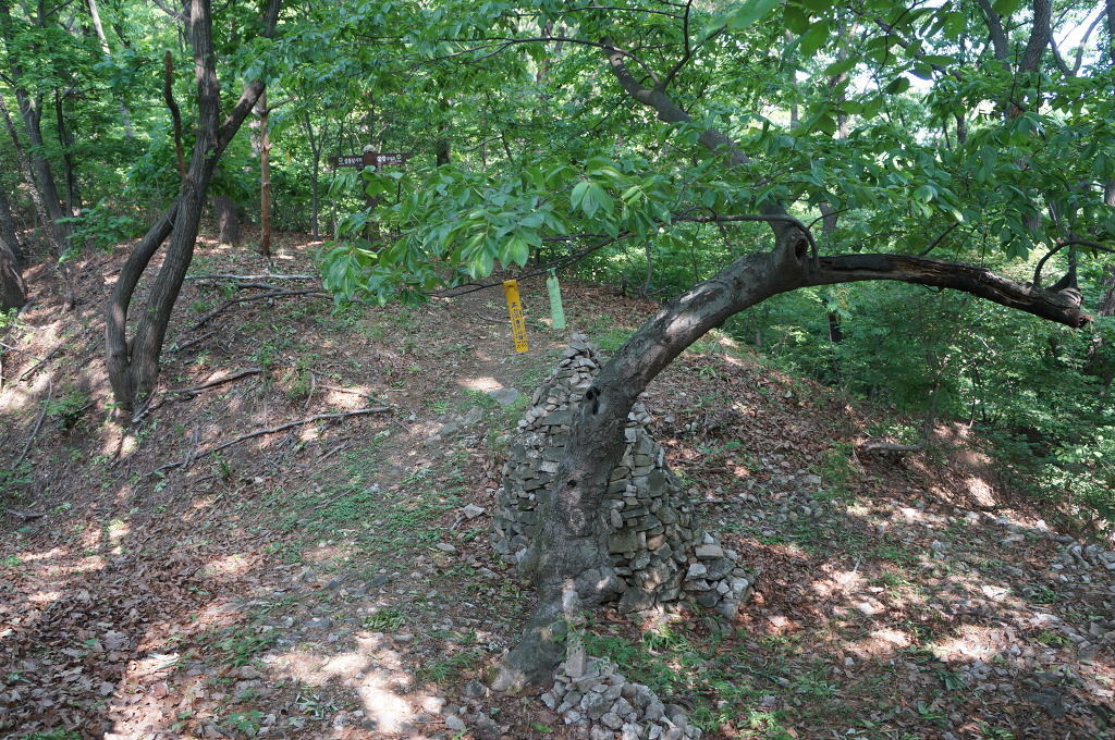 삼박골산 정상 이미지
