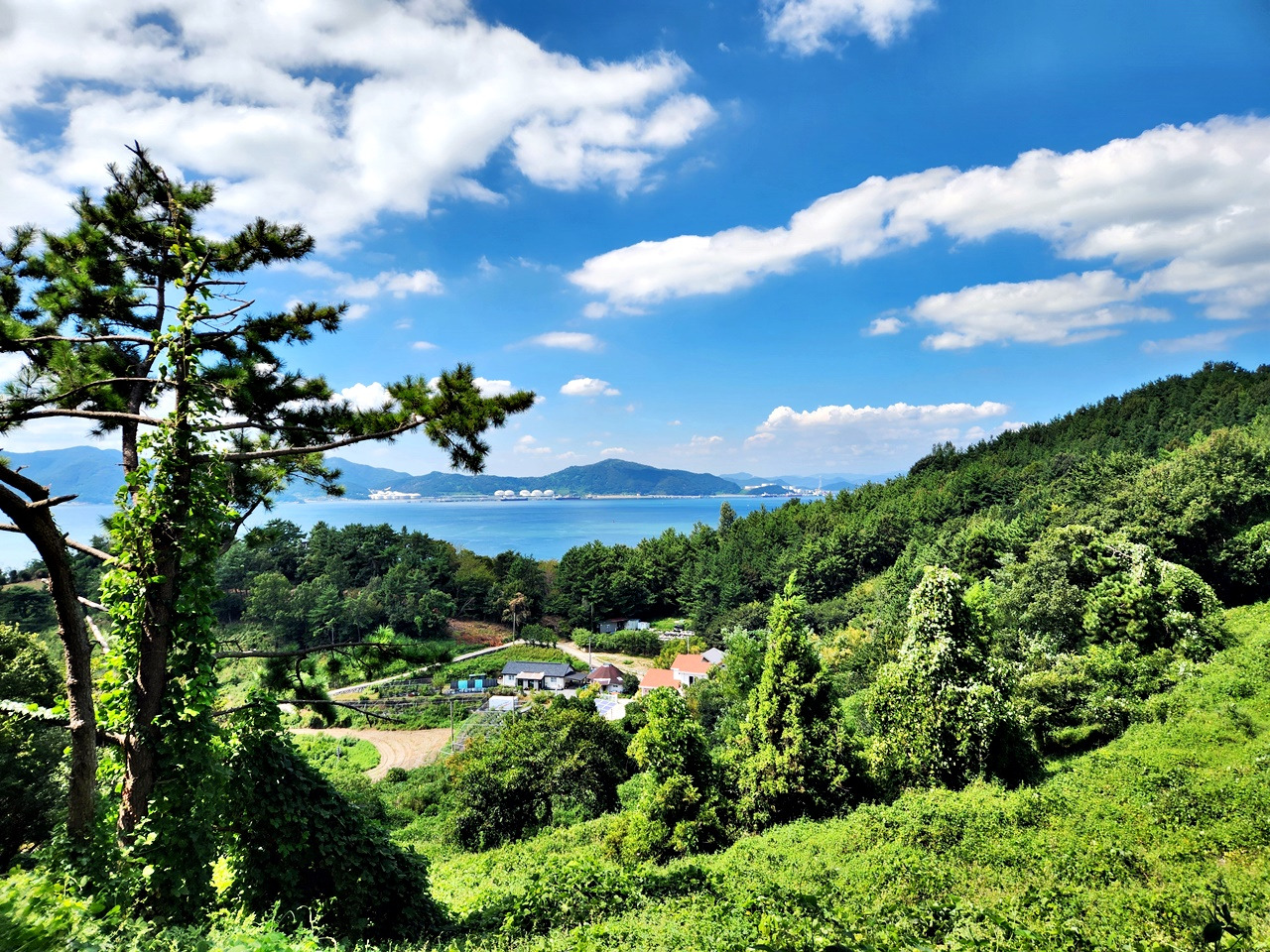 명산석유 이미지