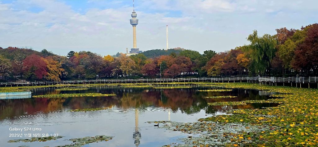 두류공원 이미지