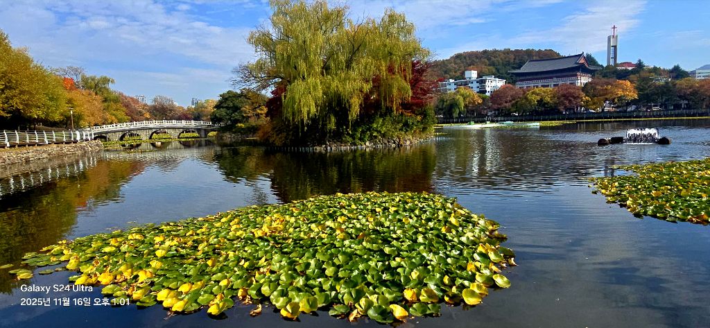 두류공원 이미지