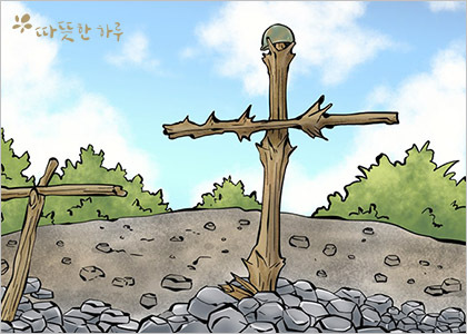 나무비 이미지