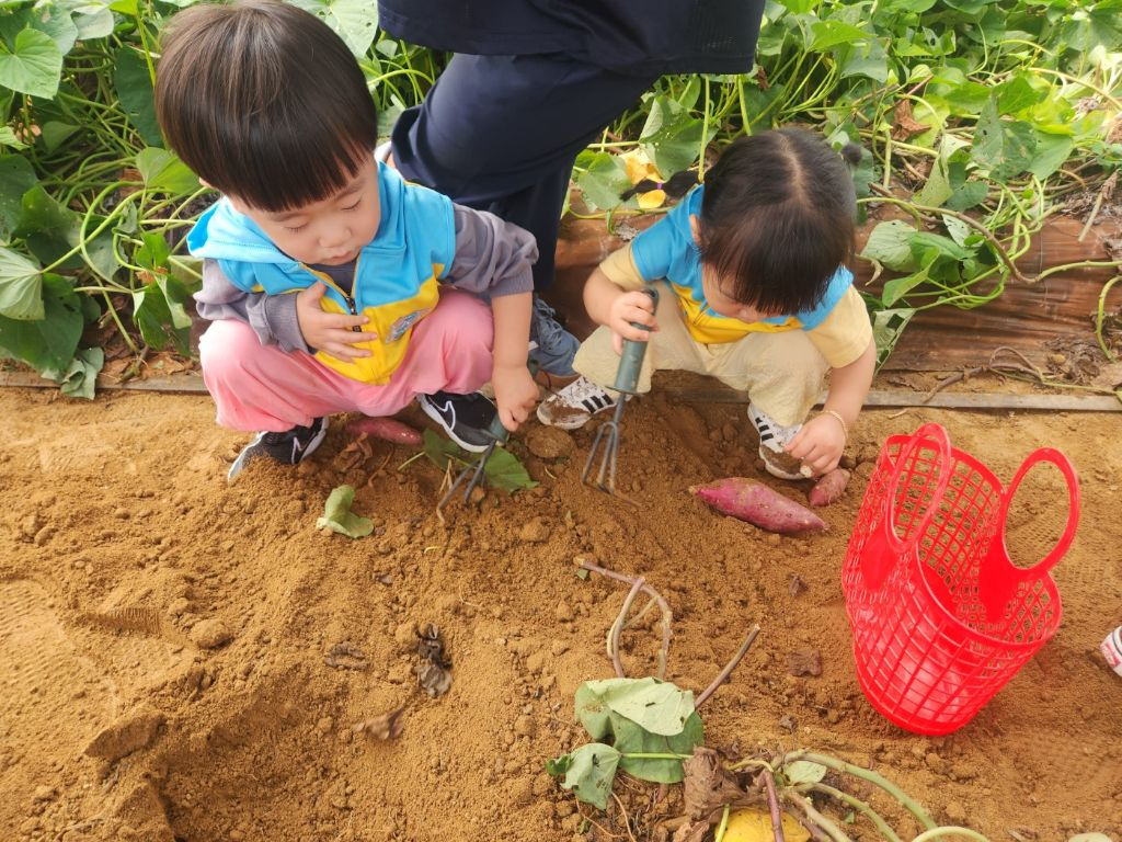 원이네 농장 이미지
