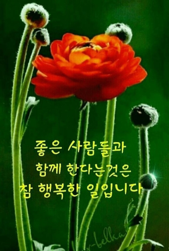 머물다 이미지