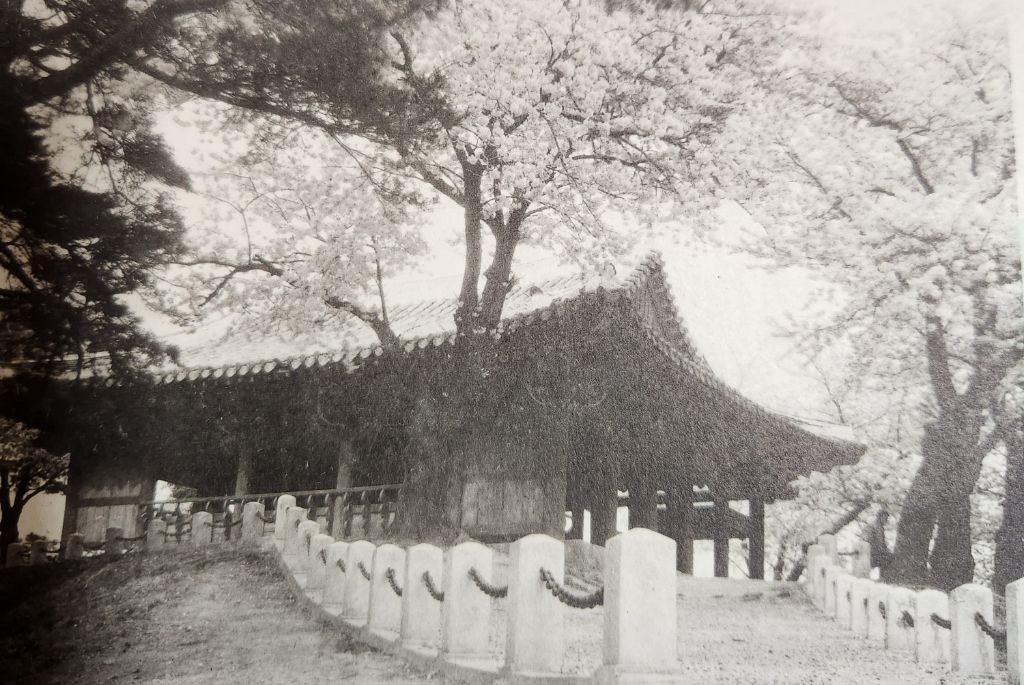 경포중학교 이미지