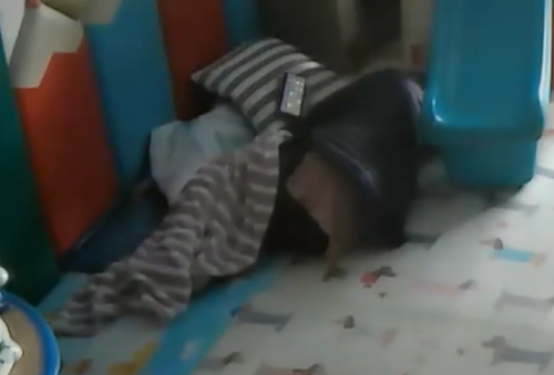 화성어린이집 이미지