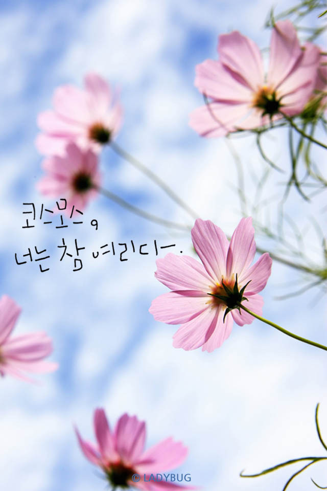 시작 이미지