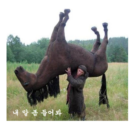 표선 이미지