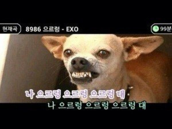 아 이미지