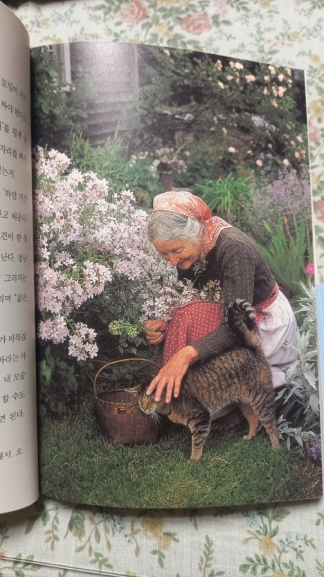 타샤 이미지