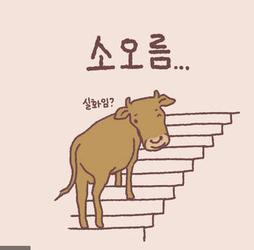 베티 이미지