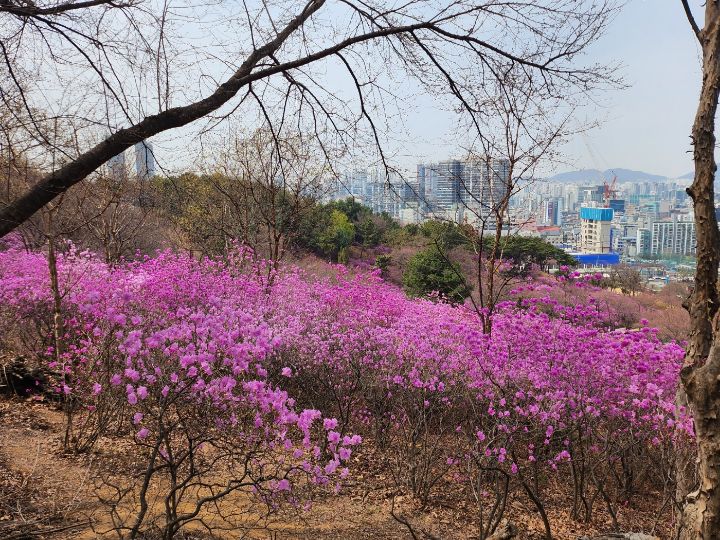 산미원 이미지