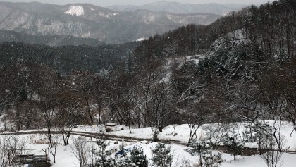 카페마리오네 이미지