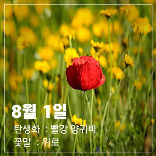 화요일 이미지