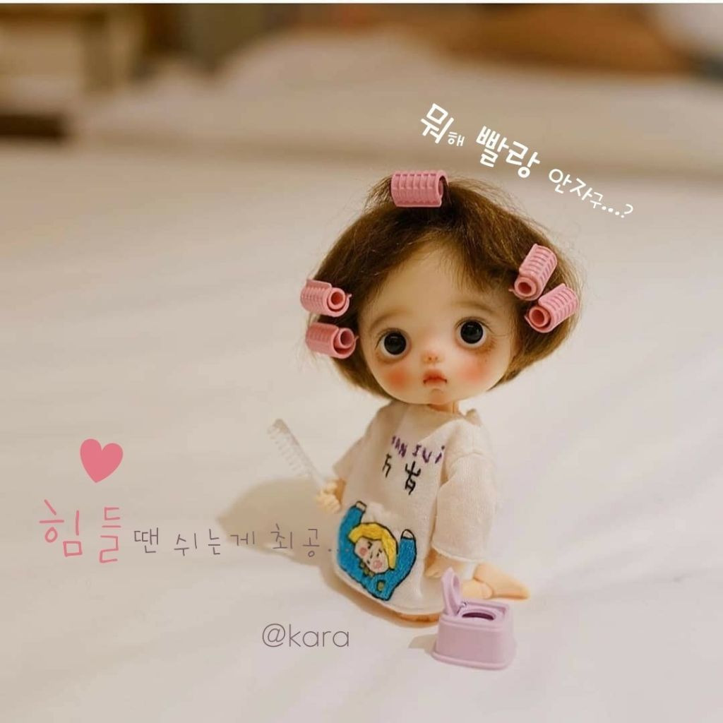 양양79 이미지