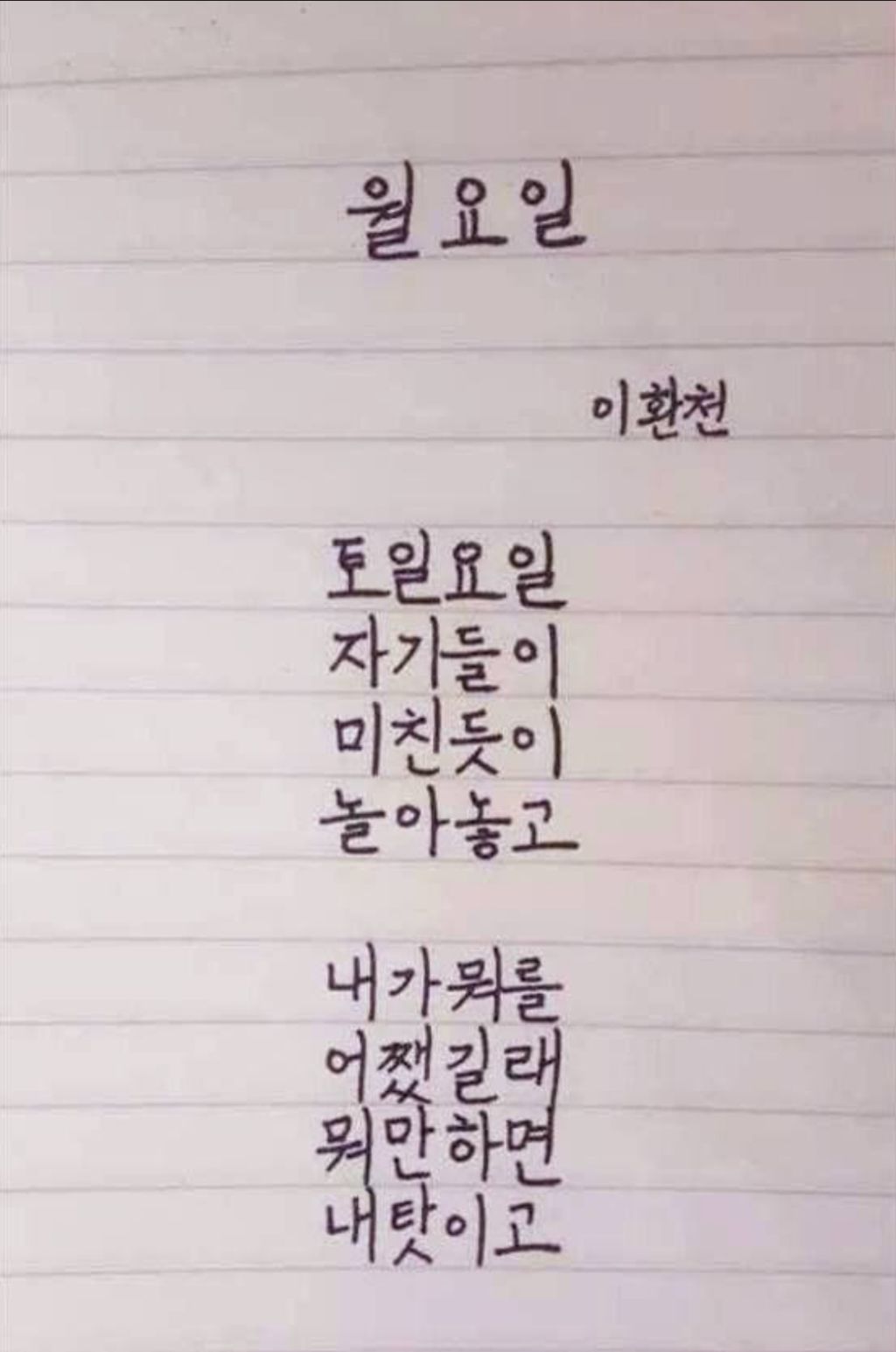 음매 이미지