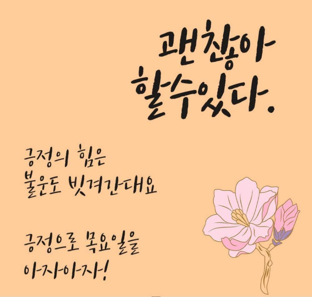 돼지방 이미지