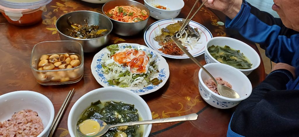 빠꿈사리 이미지