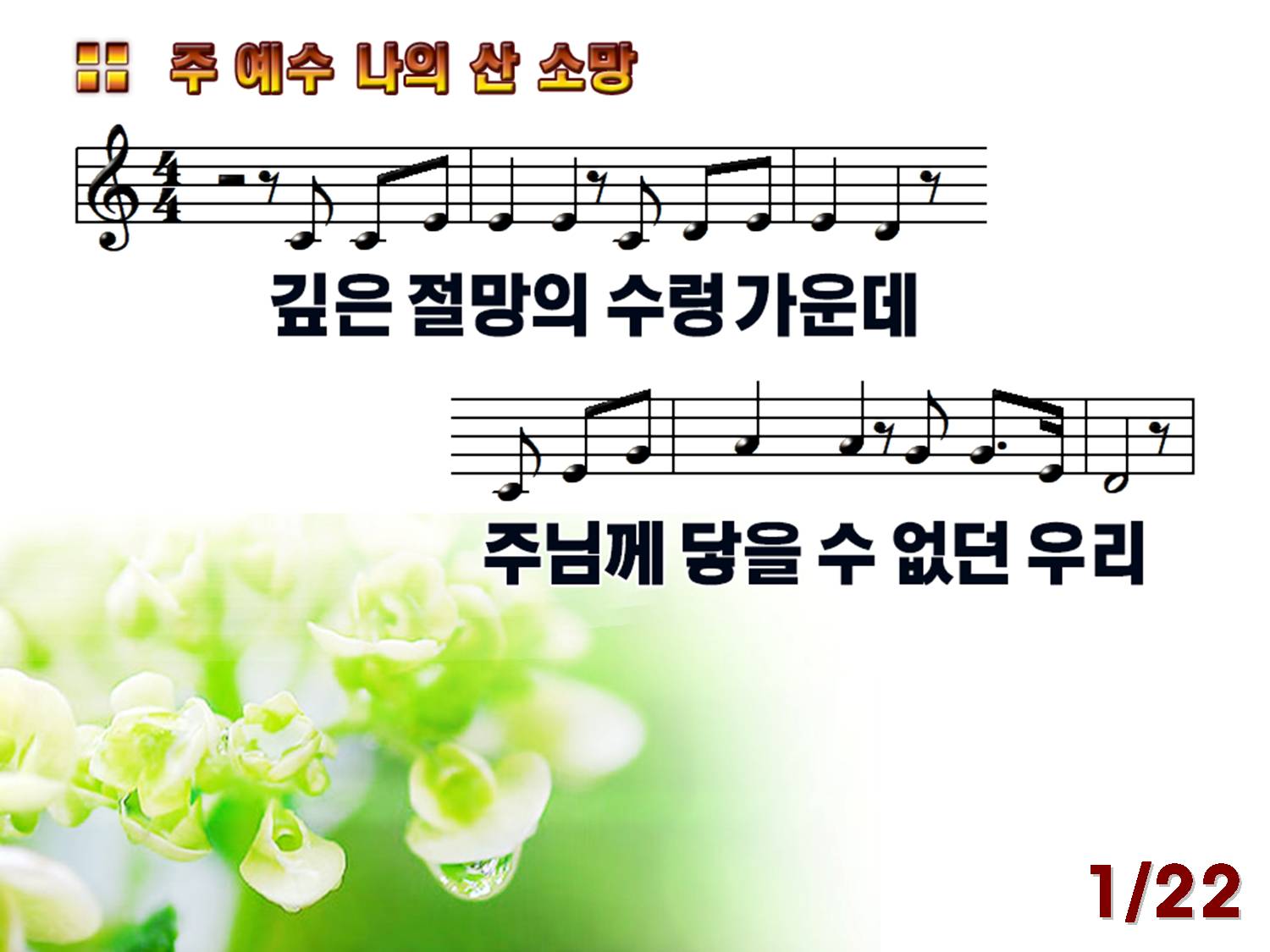 Daum 카페