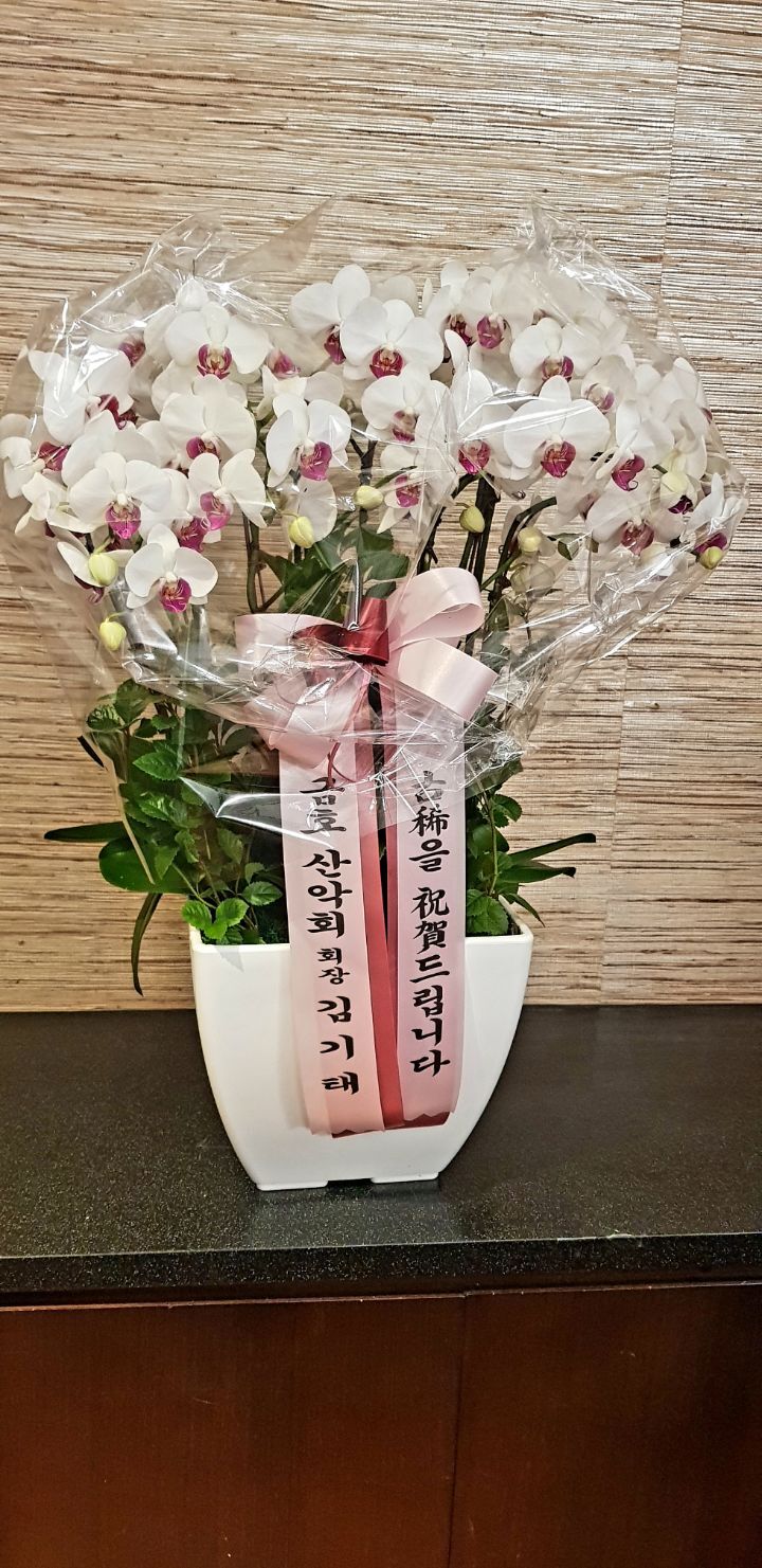 호텔리버 이미지
