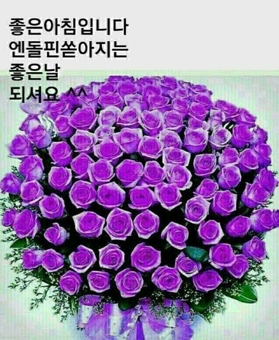 행복 이미지