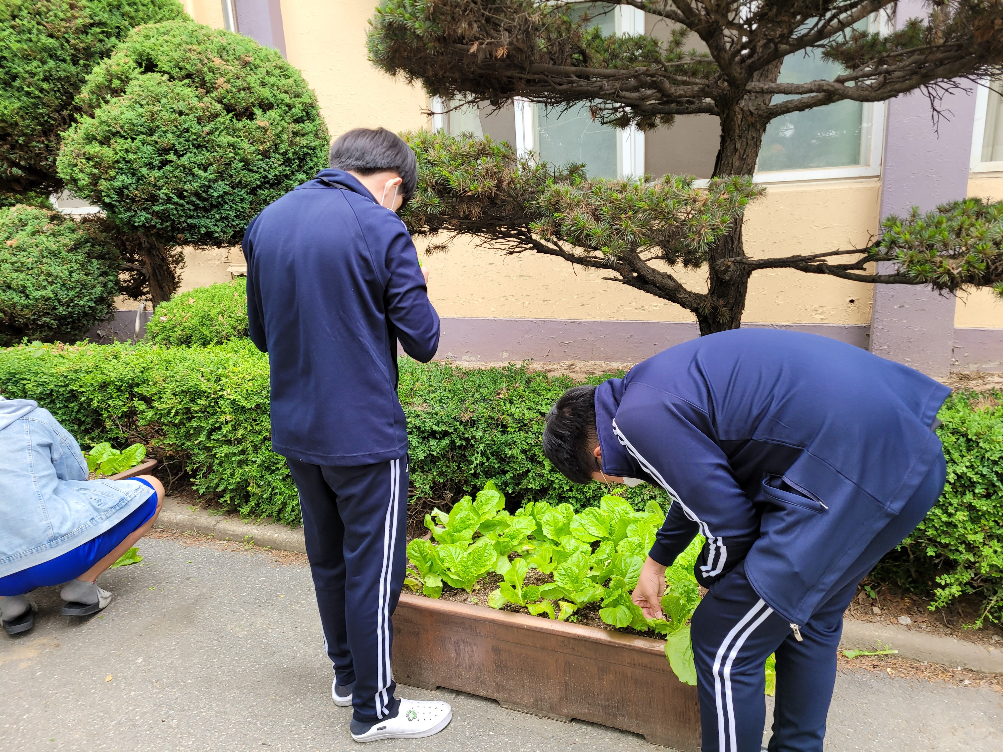 수일중학교 이미지