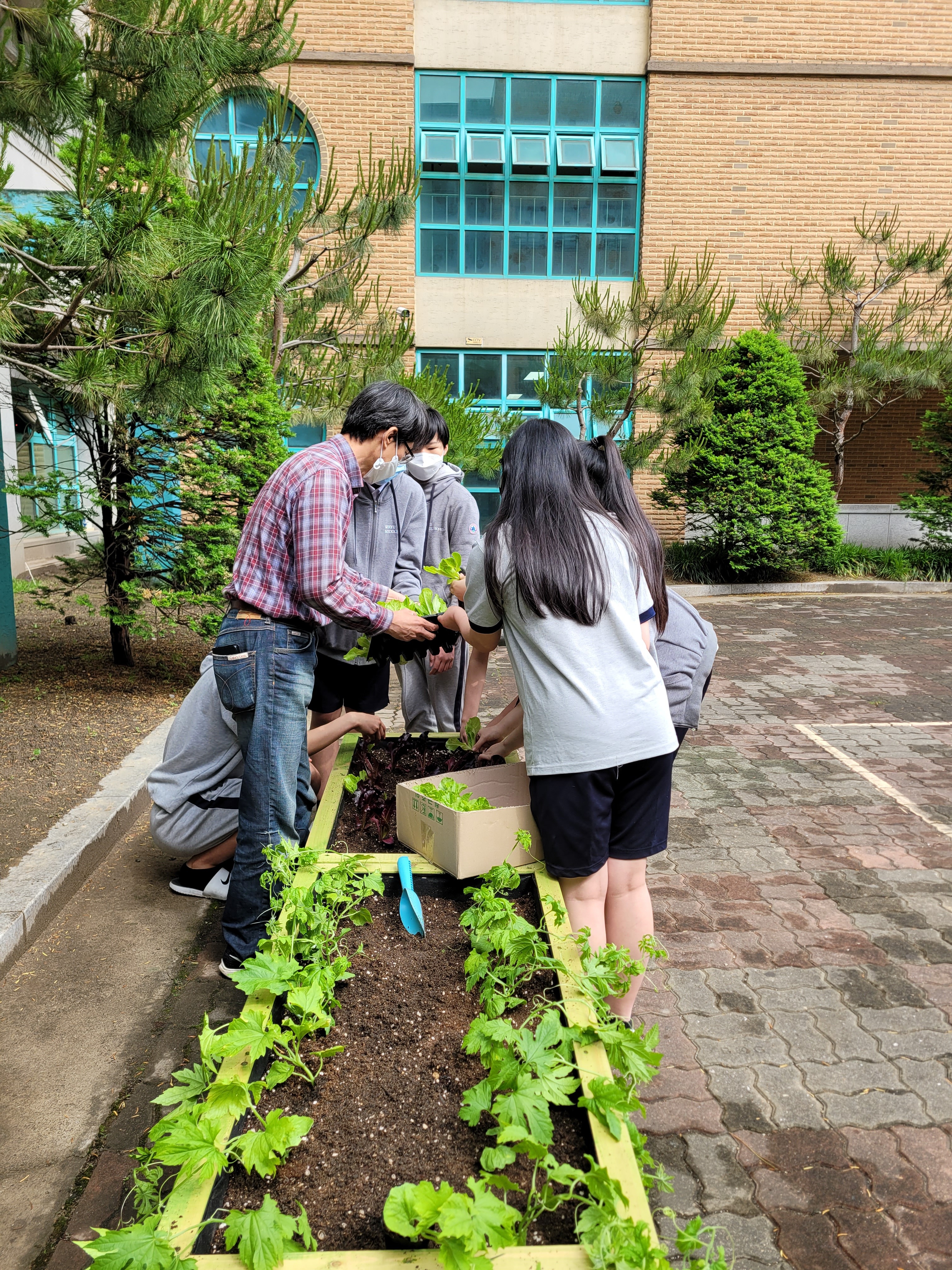 세류중학교 이미지