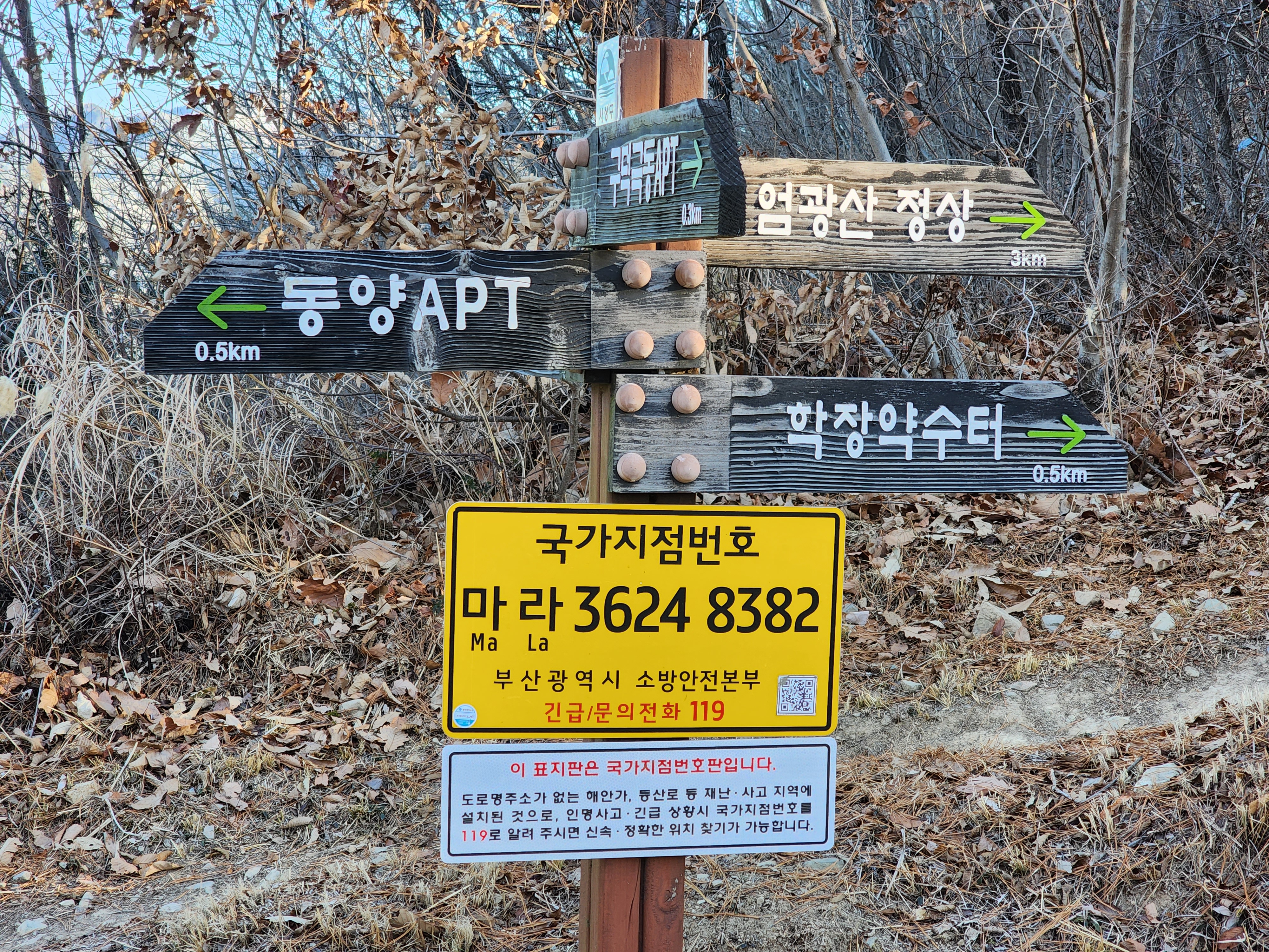 구덕고등학교 이미지