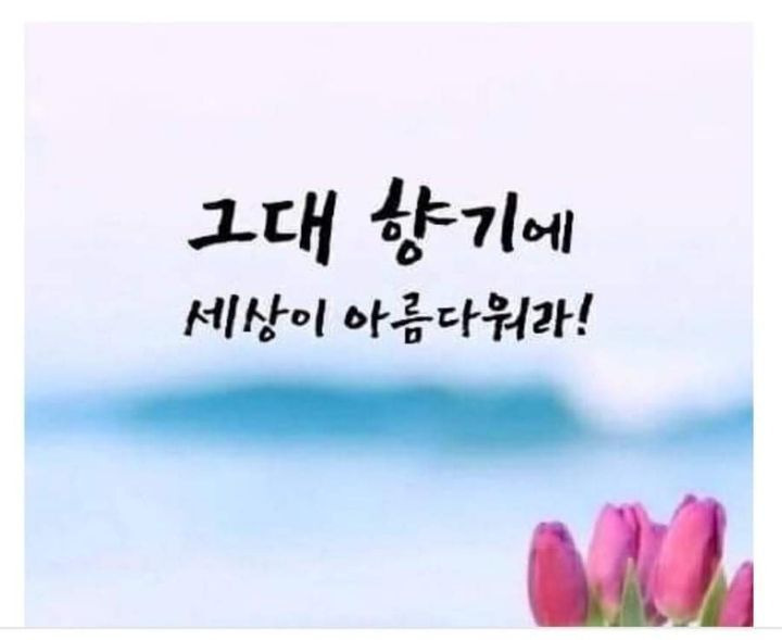 향기 이미지